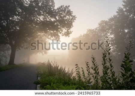 This captivating image features a country road winding through a mist-covered forest at dawn. The soft morning light filters through the fog, creating a warm and inviting atmosphere. The sun, visible