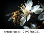 In this captivating image, a honeybee delicately indulges in nature