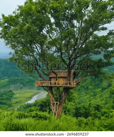 This is a captivating landscape image featuring a treehouse nestled within a large, leafy tree, set against a backdrop of lush green hills.