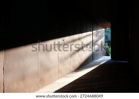 This captivating shot features a rhythmic sequence of timber frames, masterfully illuminated by linear lighting to create a profound sense of depth and perspective."