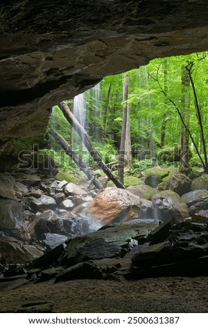 This cave is located at the Virgin Falls State Park, behind the 40-foot tall Big Laurel Falls. As photographed, the water drains back into the cave, and then underground.