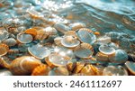 This charming image shows a group of seashells immersed in shallow water.