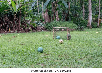 This charming, nostalgic image captures a rural backyard soccer setup nestled against a lush, tropical forest backdrop. A small, weathered DIY goal post with a worn net stands as the centerpiece on a vibrant, slightly unkempt green lawn. Three scattered soccer balls—two teal and one white—lie across the grass, suggesting a recent game or a quiet moment of play in a peaceful, secluded environment. The dense foliage of banana trees and tropical greenery in the background creates a natural, serene atmosphere, perfect for themes related to childhood memories, grassroots sports, or simple outdoor living. The soft, natural lighting enhances the organic feel of the scene, making it an ideal editorial or commercial shot for content focusing on rural lifestyle, youth recreation, or DIY backyard fun.
