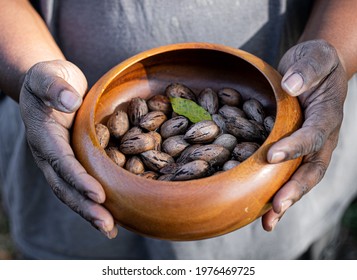 This Is A Close Up Of Fresh Picked Pecans. I Was Able To Capture The Texture Of This Hard Working Mans Hand As Well As The Pecans.