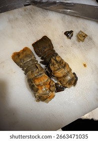 This is a close-up, high-angle shot of two lobster tails, or possibly large shrimp,