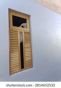 This close-up shot highlights the precise construction of a gold-colored aluminum window set against a minimalist light grey wall. The architectural design is characterized by its clever use of shutter-style slats for ventilation and a slender vertical pane that adds a unique visual interest. This residential window fixture showcases modern building techniques, emphasizing the high-quality metallic finish and the contrast between the vibrant frame and the neutral background, making it a perfect example of refined interior and exterior design elements for modern living spaces.