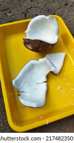 This is coconut that will be grated to make coconut milk