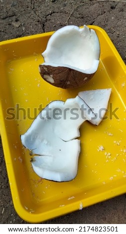 This is coconut that will be grated to make coconut milk