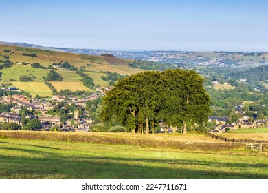 This copse is known as ‘Twenty Trees’ and is a well known landmark near Hayfield in High Peak, Derbyshire, where you can pause and take in the beautiful views above and around Hayfield.  - Shutterstock ID 2247711671
