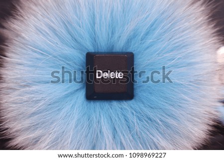 This Delete key is located on a Blue feather.