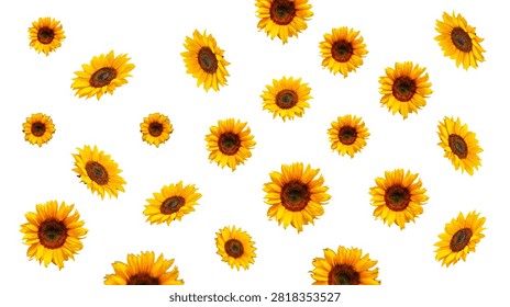 This delightful composition features numerous radiant sunflowers, showcasing their cheerful yellow petals and dark centers.