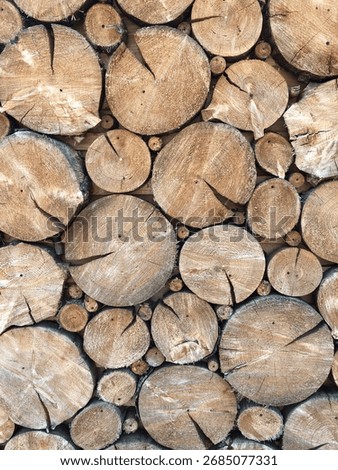 This is a detailed, close-up image showcasing the texture of tightly stacked wood ends (or logs), viewed from the front. 
