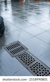 This is a storm drain grate, also called a gully grate