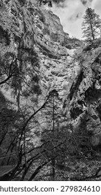 This dramatic vertical view captures a towering, steep canyon wall towering over a rocky riverbed. The immense geological formation features prominent textured rock layers with stark shades of white, silver, and dark charcoal. Various trees and wild vegetation cling tightly along the narrow crevices of the cliff face, while an overcast sky with soft white clouds peeks out at the very top. In the foreground, dense, black branches frame a small wooden footbridge on the left, emphasizing the grand scale and natural majesty of this remote valley.