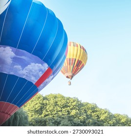 This dynamic and high-impact composition features a large blue hot air balloon in the foreground, showcasing a printed cloud pattern and bold red and white stripes. A second vibrant yellow, red, and black balloon is seen ascending in the distance against a clear, bright blue sky. Positioned above a dense canopy of green trees, this image perfectly captures the excitement and freedom of a summer aviation festival. It is a versatile asset for travel marketing, adventure-themed editorials, and lifestyle branding.