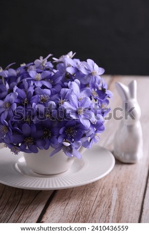 This Easter-themed photography features a charming bouquet of small hepatica flowers, wild and uncultivated. The delicate blossoms create a captivating scene with ample copy space, april, first