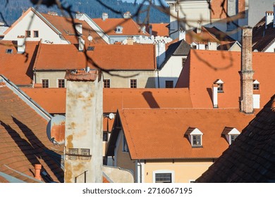 This elevated townscape captures a densely packed cluster of rooftops in a Czech residential area, showcasing the architectural rhythm and texture of urban living. The red-tiled roofs vary in shape and height, forming a visually engaging mosaic that reflects traditional European design. Several chimneys and satellite dishes are visible, indicating active residential use and modern adaptation. The buildings are closely situated, with narrow gaps between them, emphasizing the compact nature of the town’s layout. In the background, a forested hillside rises gently, providing a natural contrast to the built environment and suggesting a harmonious coexistence between town and landscape. The image is framed by slightly out-of-focus tree branches in the foreground, adding depth and seasonal context—likely late autumn or early winter. The clear daylight enhances the colors and textures of the rooftops, casting soft shadows and highlighting the interplay between architectural repetition and organic variation. The composition evokes themes of urban density, residential rhythm, and visual layering, making it ideal for editorial content, architectural studies, travel and tourism materials, or as a textured background in design projects. The absence of people allows the viewer to focus on the built environment, while the presence of chimneys and antennas suggests quiet domestic life. This image captures a timeless moment in a Czech town, where rooftops stretch toward the hills and the town breathes in rhythm with the forest beyond.