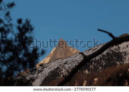 This evening mountain landscape combines snow, fading light, and tree silhouettes near Chamonix.