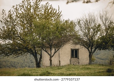 This evocative image features a small, weathered cottage or outbuilding perched on a grassy hilltop, framed by three distinct trees. The structure, with its peeling white plaster and lone, dark window, suggests a history of isolation and quiet resilience. To the left, lush green foliage dominates, while the tree on the right appears more skeletal, creating a striking contrast between life and dormancy. In the background, a soft-focus vista of rolling hills and dense forests stretches toward the horizon under a muted, overcast sky.

Mood and Atmosphere

The overall mood is melancholic yet peaceful, leaning heavily into rustic solitude and nostalgia. There is a sense of 