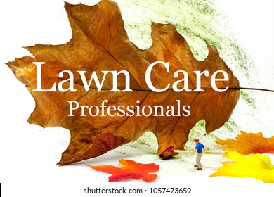 This Eye Catching Image Of A Man Raking Leaves Could Be Used For Residential Or Commercial Lawn Care. Large Type Announces You Are A Lawn Care Professional. Room For Your Name And Phone Number.