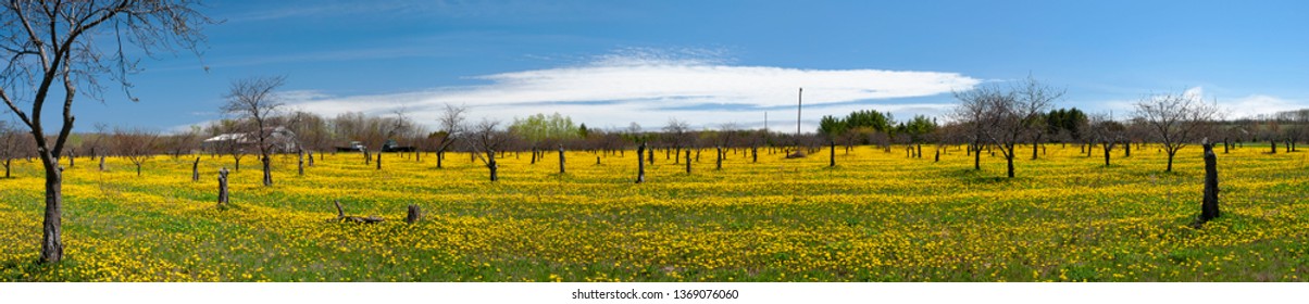 Door County 2c Wisconsin Images Stock Photos Vectors Shutterstock