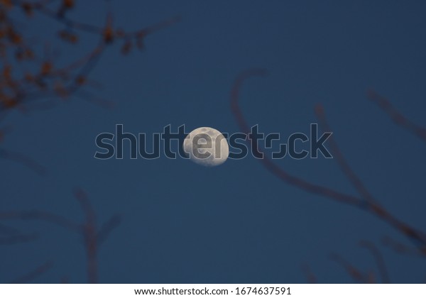 This is\
a good picture of the moon through some\
trees