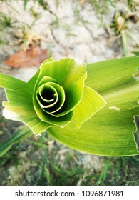 this is a grass capture from upper 