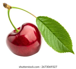 This high-quality image features a group of fresh red cherries with stems, beautifully isolated on a clean white background. The vibrant red color and glossy skin highlight the fruit’s ripeness - Powered by Shutterstock - Get 15% off with code: PIKWIZARD15