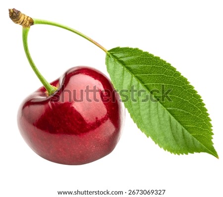 This high-quality image features a group of fresh red cherries with stems, beautifully isolated on a clean white background. The vibrant red color and glossy skin highlight the fruit’s ripeness