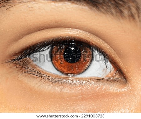 This high-resolution photo features a close-up view of a human eye with striking brown color and reflections of the surrounding environment. The eye is captured with great detail, showing the texture.