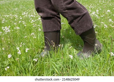 This is how you get through nature tick-free. Rubber boots are an easy way to keep ticks off your body. Since the parasites are mainly found in the grass, the legs should be protected.