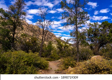 This image was captured on a trail in the Granite Mountain Recreational area of Prescott, Arizona, near the Granite Basin Lake. The trail and the mountains are seen in the distance.