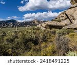 This image was captured while touring the scenic road at City of Rocks State Park in southern Idaho.


