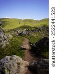 This image captures the beauty of nature with a peaceful hiking trail cutting through a vibrant green valley. Scattered rocks and wild grass frame the path, leading towards rolling hills.