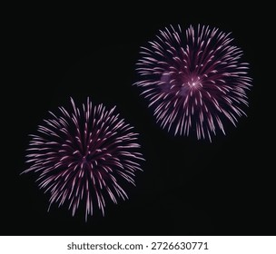 This image captures the breathtaking display of two purple fireworks exploding against a dark night sky. The fireworks create a stunning visual effect with their bright, radiant colors and intricate patterns.
