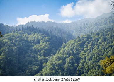 This image captures a breathtaking mountain landscape, teeming with life and covered in a lush carpet of green trees. The serene atmosphere is enhanced by the blue sky above, dotted with white clouds that add a touch of drama to the scene. The natural beauty of this environment is a testament to the power and majesty of nature, inviting the viewer to step into its tranquil and awe-inspiring world.