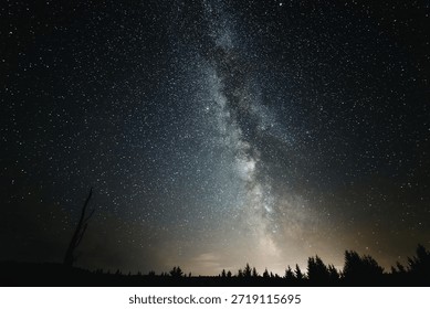 This image captures a breathtaking view of the night sky, prominently featuring the Milky Way galaxy. The sky is filled with countless stars, creating a mesmerizing backdrop. The Milky Way's distinct band of light stretches across the image, highlighting the galaxy's core. The horizon is marked by a line of silhouetted trees, adding depth and contrast to the scene. The overall atmosphere is serene and awe-inspiring, showcasing the beauty of the cosmos.