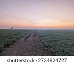 This image captures a calm and refreshing countryside scene at dawn. A wide green field stretches toward the horizon, lightly covered with morning mist that adds a soft, dreamy atmosphere. The sky displays a beautiful gradient of colors—deep blue fading into warm shades of orange and pink—signaling the first light of sunrise. Overhanging tree branches with textured green leaves naturally frame the view, drawing the eye toward the open landscape and distant silhouettes of trees. The enhanced HDR look brings out rich details in the leaves, grass, and sky, making the scene feel vivid, realistic, and peaceful—perfectly reflecting the quiet beauty of early morning in nature.