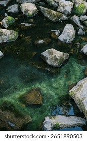 This image captures a close-up, high-angle view of a natural body of water with various rocks, some covered in vibrant green moss and algae, creating a peaceful scene.