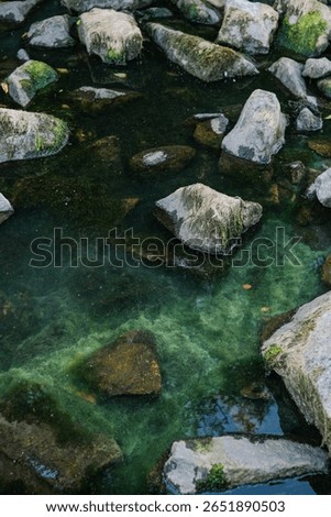 This image captures a close-up, high-angle view of a natural body of water with various rocks, some covered in vibrant green moss and algae, creating a peaceful scene.