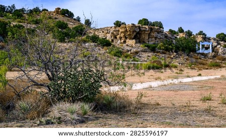 This image captures Eastern Pageant Canyon in the northwestern part of Cimarron County, Oklahoma. The area is known for annual theatrical performances reenacting the Easter story. In the background are characteristic sandstone rock formations typical of the region. A cholla grows in the left foreground, while the landscape consists of dry grass and rocky hills.