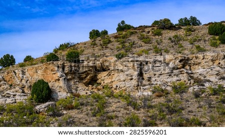 This image captures Eastern Pageant Canyon in the northwestern part of Cimarron County, Oklahoma. The area is known for annual theatrical performances reenacting the Easter story. In the background are characteristic sandstone rock formations typical of the region. A cholla grows in the left foreground, while the landscape consists of dry grass and rocky hills.