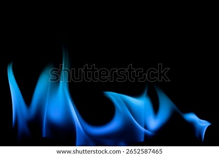 This image captures the elegance of a blue flame dancing against a black background, creating a captivating display of movement and light.