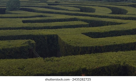 This image captures the intricate patterns of a hedge maze with lush green walls. The photo, taken from an elevated angle, shows the complexity and design of the maze, with paths winding back