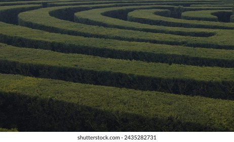 This image captures the intricate patterns of a hedge maze with lush green walls. The photo, taken from an elevated angle, shows the complexity and design of the maze, with paths winding back