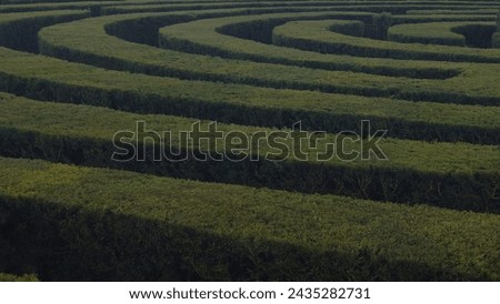This image captures the intricate patterns of a hedge maze with lush green walls. The photo, taken from an elevated angle, shows the complexity and design of the maze, with paths winding back