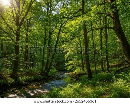 This image captures a lush and vibrant forest scene with a small stream flowing through the center. Sunlight filters through the dense canopy of tall trees, creating bright highlights and shadows