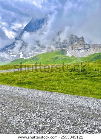 
This image captures a picturesque mountainous landscape. The foreground features a gravel path with small rocks and pebbles. Beyond the path lies a lush green meadow dotte