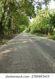 This image captures a quiet, paved country road stretching straight ahead into the distance, surrounded by a vibrant display of nature. Tall, leafy trees and dense vegetation line both sides of the path, creating a natural green corridor that frames the scene beautifully. Sunlight filters through the canopy above, casting dappled shadows across the gray asphalt surface, suggesting a bright and sunny afternoon. On the right side, a concrete utility pole stands amidst the greenery, hinting at rural infrastructure connecting this secluded area. The road itself appears slightly worn and textured, with no distinct center lane markings visible, emphasizing its character as a local route rather than a busy highway. The strong perspective draws the viewer's eye toward the vanishing point where the road disappears into the lush landscape. The overall atmosphere is one of tranquility and seclusion, evoking a sense of a peaceful drive through a tropical village or countryside setting.