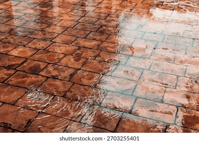 This image captures raindrops falling gently onto a brick-paved surface, creating ripples that dance across shallow puddles.